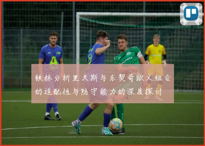 铁林分析里夫斯与东契奇欧文组合的适配性与防守能力的深度探讨